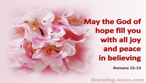 Romans 15:13 May The God Of Hope Fill You With All Joy And Peace In Believing (pink)